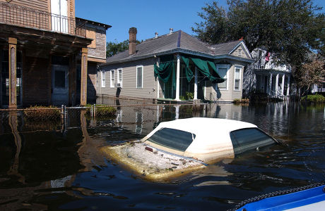 __COUNT__ IFAW RESCUING ANIMALS FROM FLOODED HOMES IN NEW ORLEANS IN ...