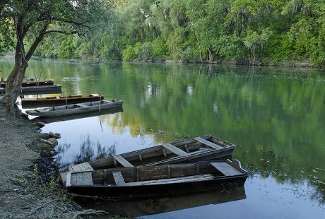 Boat On Bodrog River Tokaj Hungaria Editorial Stock Photo - Stock Image ...