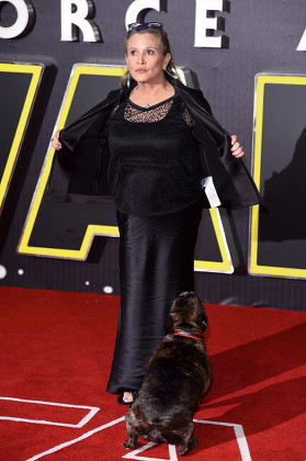 Carrie Fisher Dog Editorial Stock Photo - Stock Image | Shutterstock