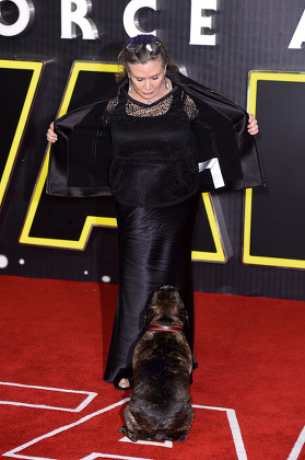 Carrie Fisher Dog Editorial Stock Photo - Stock Image | Shutterstock