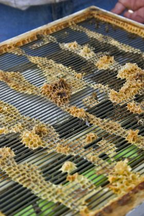 46 Bee boxes Stock Pictures, Editorial Images and Stock Photos ...
