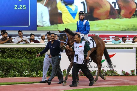 Horse Racing from Meydan, Dubai, United Arab Emirates - 01 Jan 2015 ...