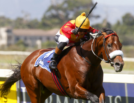 Black Arthur Piere Strydom Winning Cartier Editorial Stock Photo