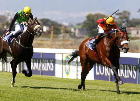 Black Arthur Piere Strydom Winning Cartier Editorial Stock Photo