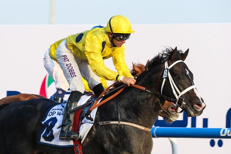 Dubai Meydan Race Track Tobaco Yellow Editorial Stock Photo - Stock ...