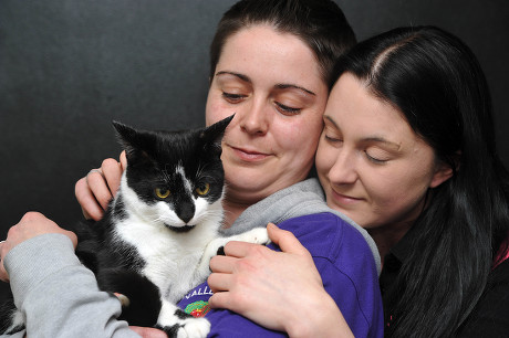 Cat missing for two months found 200 miles from home, Cardiff, Wales - 03 Feb 2016