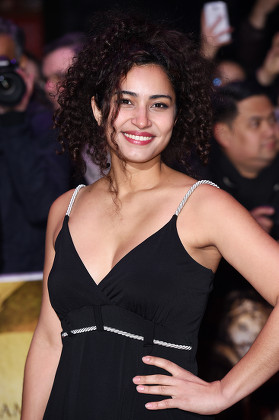 19 Meena rayann Stock Pictures, Editorial Images and Stock Photos