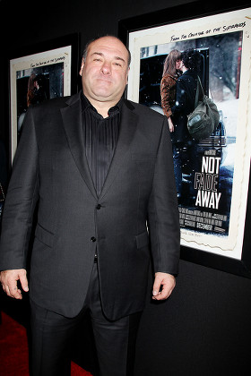 'Not Fade Away' film screening, New York, America - 18 Dec 2012