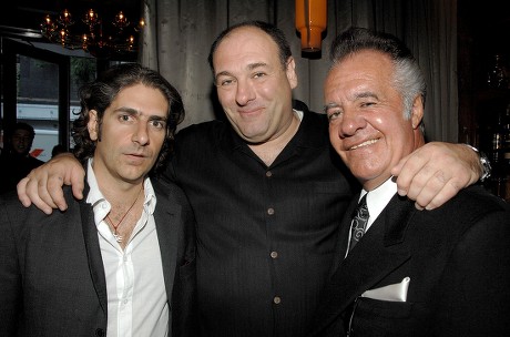 Cast of 'The Sopranos' Reunite at Fiamma to Raise Money for the Carol M. Baldwin Breast Cancer Research Fund, New York, America - 24 Jun 2008