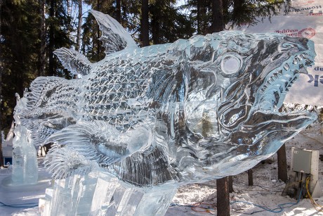 amazing ice sculptures