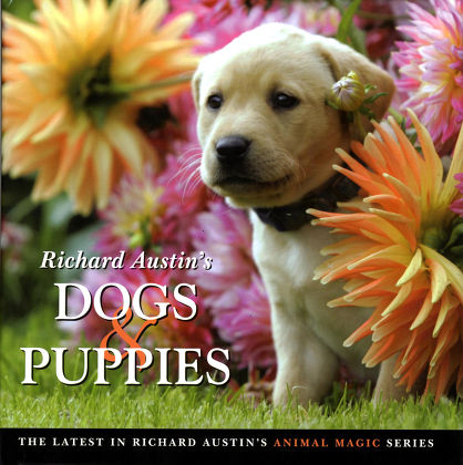 DOGS & PUPPIES BOOK BY RICHARD AUSTIN, BRITAIN, 2005