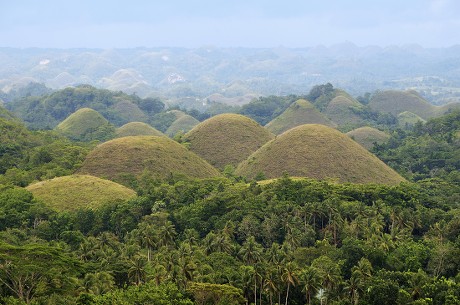 250 Bohol island Stock Pictures, Editorial Images and Stock Photos ...