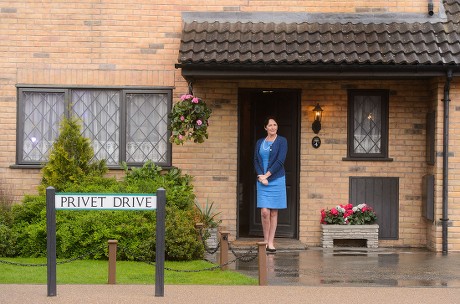 Fiona Shaw Editorial Stock Photo - Stock Image | Shutterstock