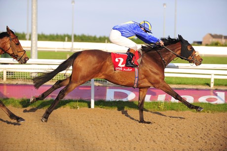 Dundalk Brokopondo Ronan Whelan Wins Trainer Editorial Stock Photo ...