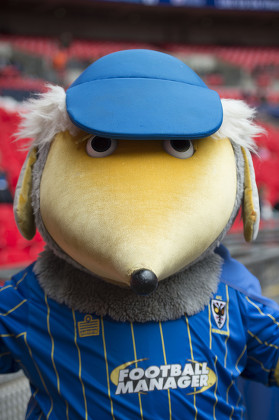 The Plymouth Argyle and AFC Wimbledon mascots play football on the