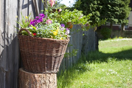 45 Rustic Fence Stock Pictures Editorial Images And Stock Photos   Shutterstock 5715726a 