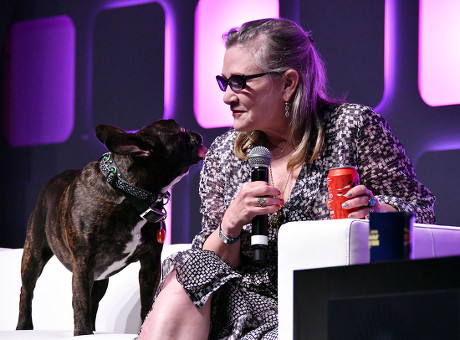 Carrie Fisher Dog Editorial Stock Photo - Stock Image | Shutterstock