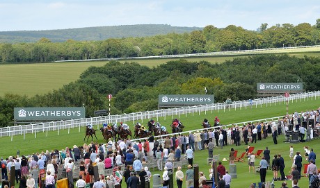 L Boom Groom Adam Kirby Wins Editorial Stock Photo - Stock Image ...