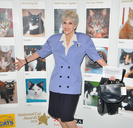 The Cats Protection's National Cat Awards, London, UK - 04 Aug 2016