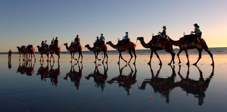 63 Camel trains Stock Pictures, Editorial Images and Stock Photos