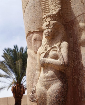 6 imágenes de Bintanath Imágenes de stock, imágenes editoriales y