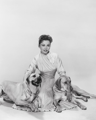 250 Jeanne crain Stock Pictures, Editorial Images and Stock Photos ...