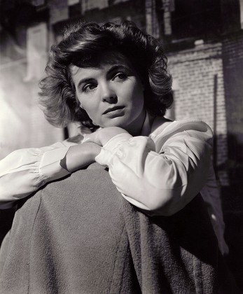 Dorothy Mcguire Editorial Stock Photo - Stock Image | Shutterstock