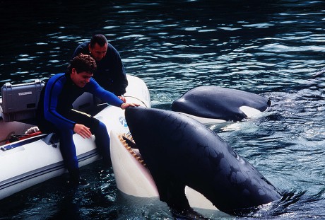 Free Willy 3 - The Rescue - 1997
