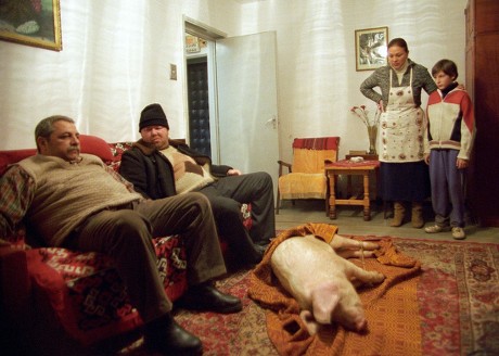 Amintiri Din Epoca De Aur 2009 Editorial Stock Photo Stock Image