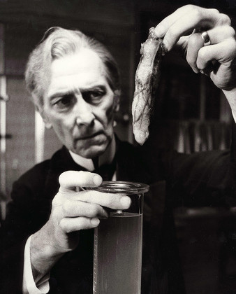 Peter Cushing Editorial Stock Photo - Stock Image | Shutterstock