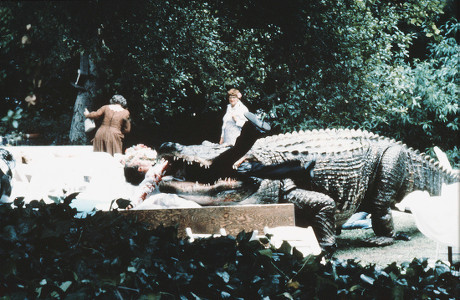 Alligator 1980 ภาพสต็อกบทความข่าว - ภาพสต็อก | Shutterstock