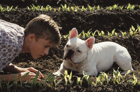Secondhand Lions - 2003