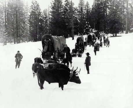 The Covered Wagon - 1923 Stock Pictures, Editorial Images and Stock ...