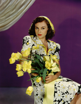 Paulette goddard Stock Pictures, Editorial Images and Stock Photos