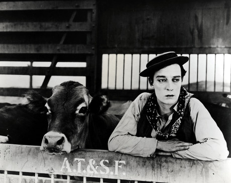 750 Buster keaton Stock Pictures, Editorial Images and Stock Photos