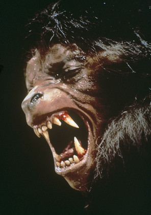 An American Werewolf In London - 1981