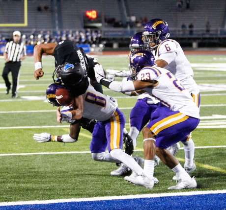 Albany Great Danes v Buffalo Bulls, NCAA football game, Amherst, USA - 02 Sep 2016 Stock