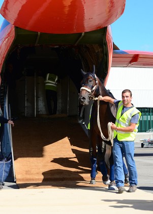 Dublin Airport Longines Irish Champions Weekend Editorial Stock