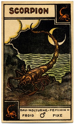 Tarot Cards for the Full Moon in Scorpio — Ruby Slipper Astrology