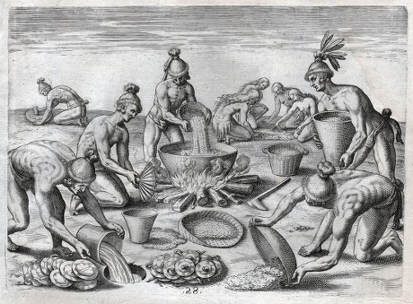 49 Timucua Stock Pictures, Editorial Images and Stock Photos Shutterstock