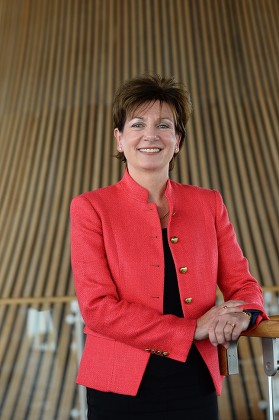 UKIP Leader Diane James at the Senedd, Cardiff, Wales - 26 Sep 2016