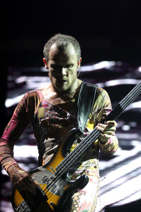 Red Hot Chili Peppers Flea Editorial Stock Photo - Stock Image