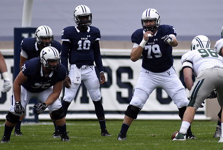 Yale Quarterback Number 11 Jack Heneghan Editorial Stock Photo - Stock 