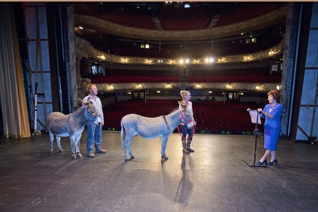 Donkeys Audition For Carmen In Front Of Sandra Smith (right) At The King's Theatre South Sea With Ollie (left) And Rusty (right) Handlers Paul And Tracey Hunt.