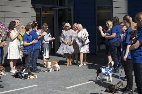 Camilla Duchess of Cornwall visits Battersea Dogs and Cats Home, London, UK - 07 Sep 2016