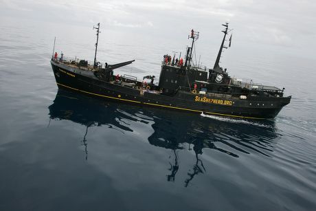 The Sea Shepherd Organisation ship, 'Farley Mowat', looking for the Japanese whaling fleet in the  Southern Ocean - 08 Jan 2006