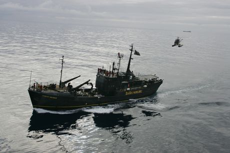 The Sea Shepherd Organisation ship, 'Farley Mowat', looking for the Japanese whaling fleet in the  Southern Ocean - 08 Jan 2006