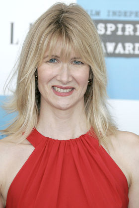 Laura Dern Editorial Stock Photo - Stock Image | Shutterstock