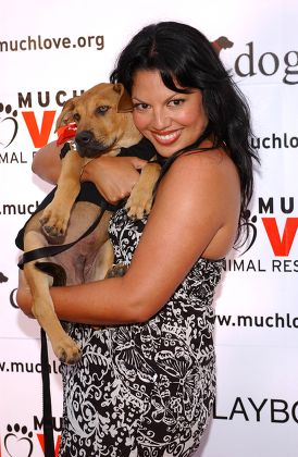 Sara Ramirez Editorial Stock Photo - Stock Image | Shutterstock