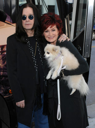 ozzy osbourne dog costume